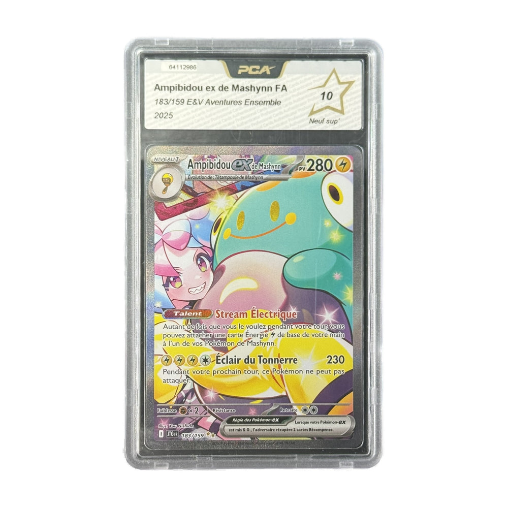 Ampibidou ex de Mashynn FA Aventures Ensemble 183/159 PCA 10