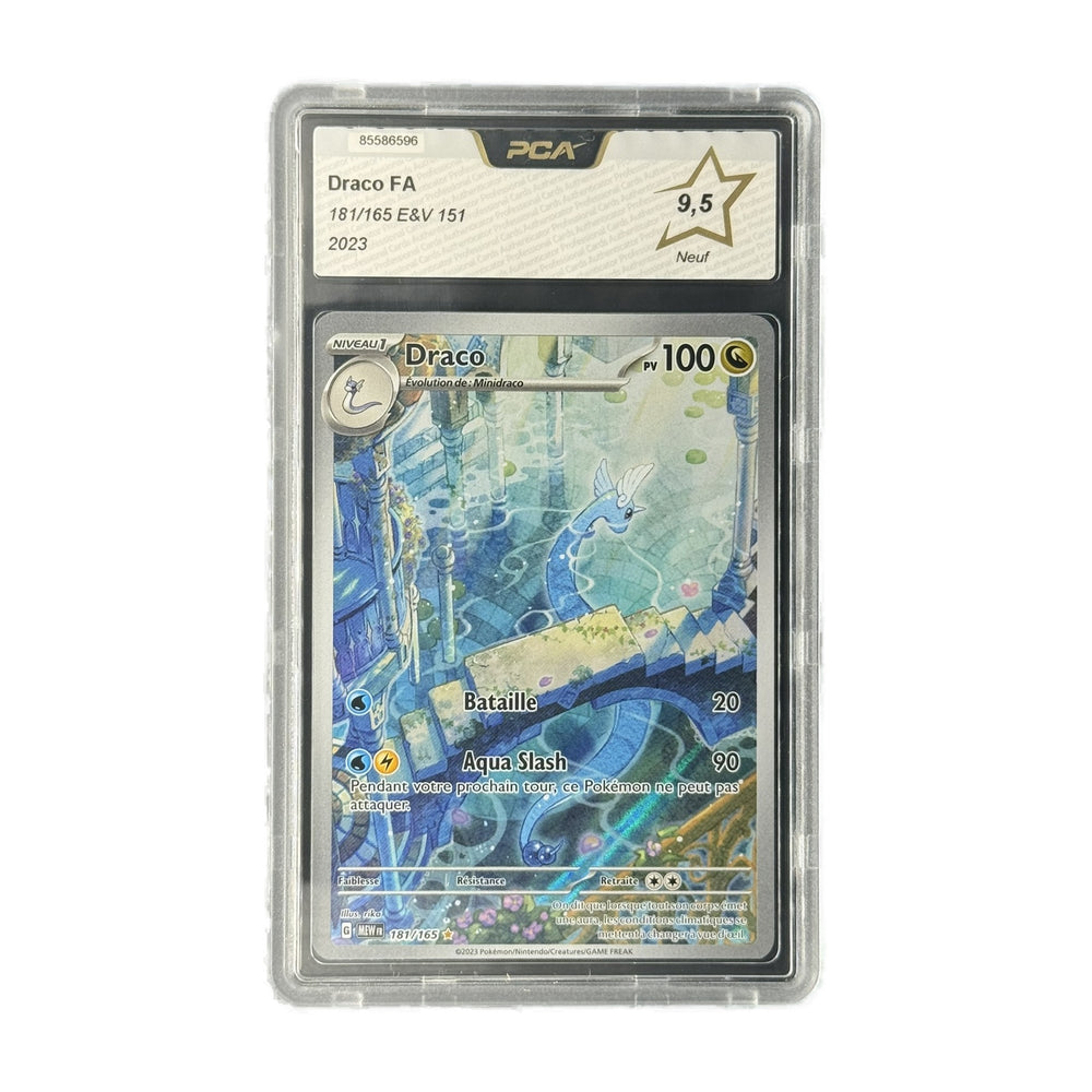 Draco 151 181/165 PCA 9.5