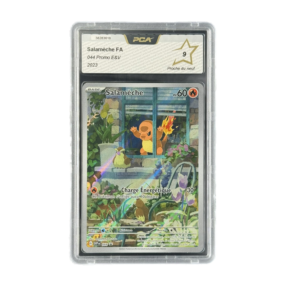 Salamèche FA Promo E&V 044 PCA 9